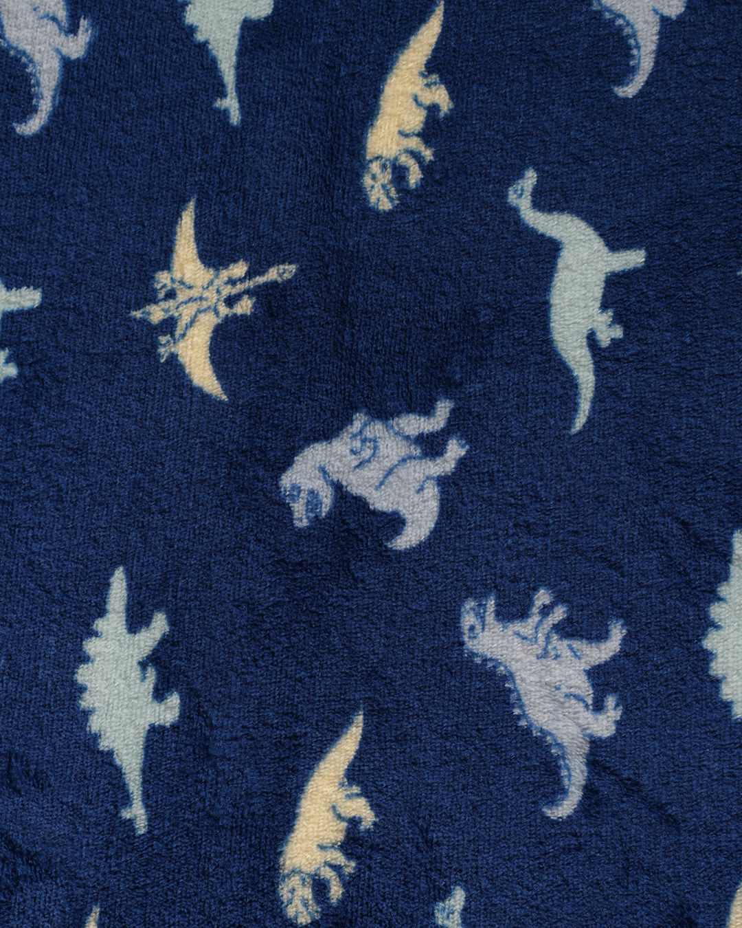 Manta-Dino---Marinho