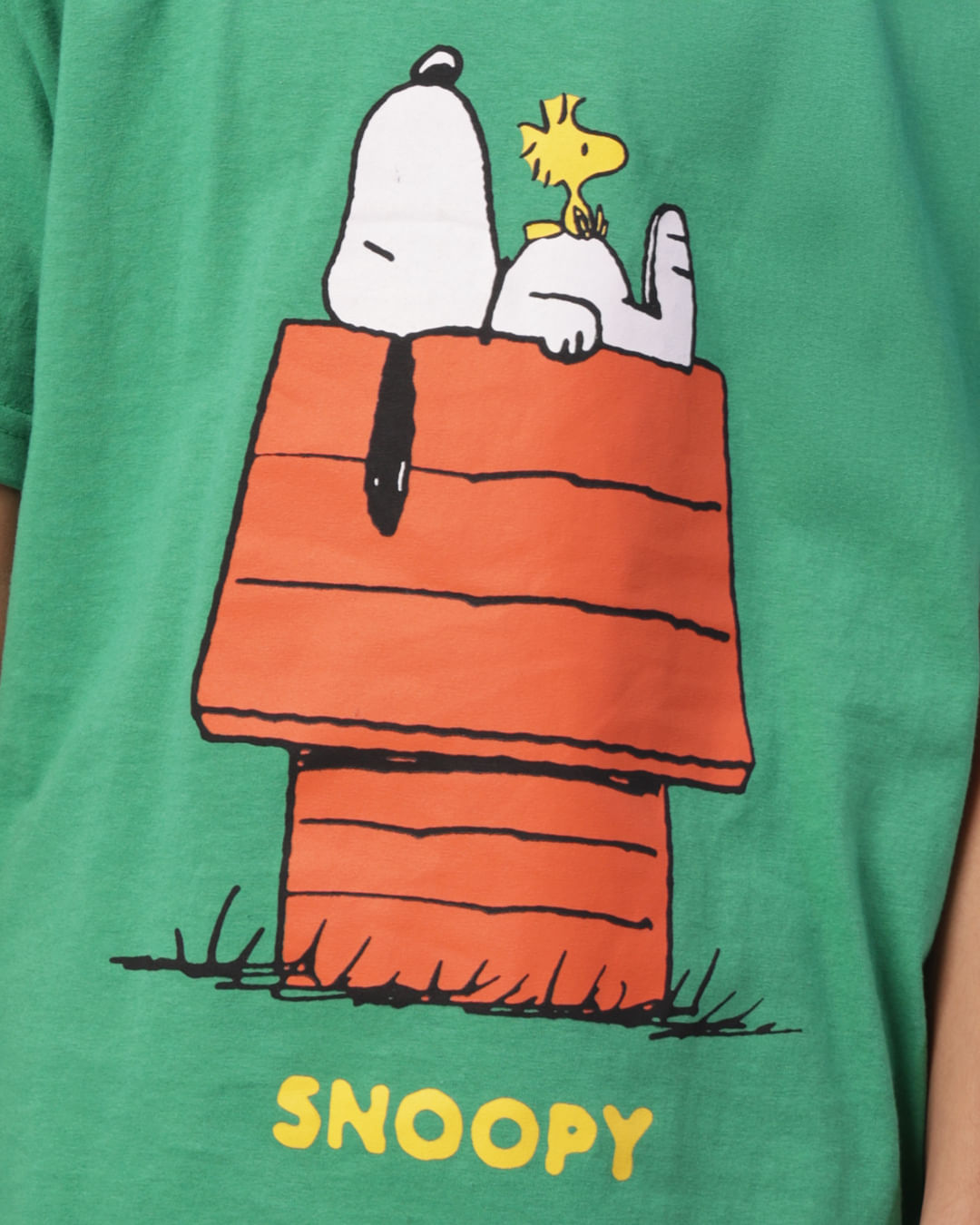 Conjunto-Ch39755v-Mc-M-410-Snoopy-Vs---Verde