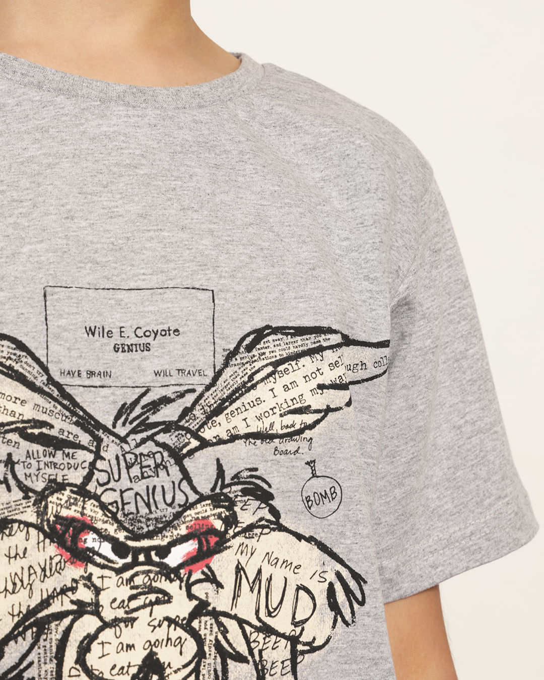 Camiseta-Ch38145-Mc-1016-Looney---Mescla-Claro