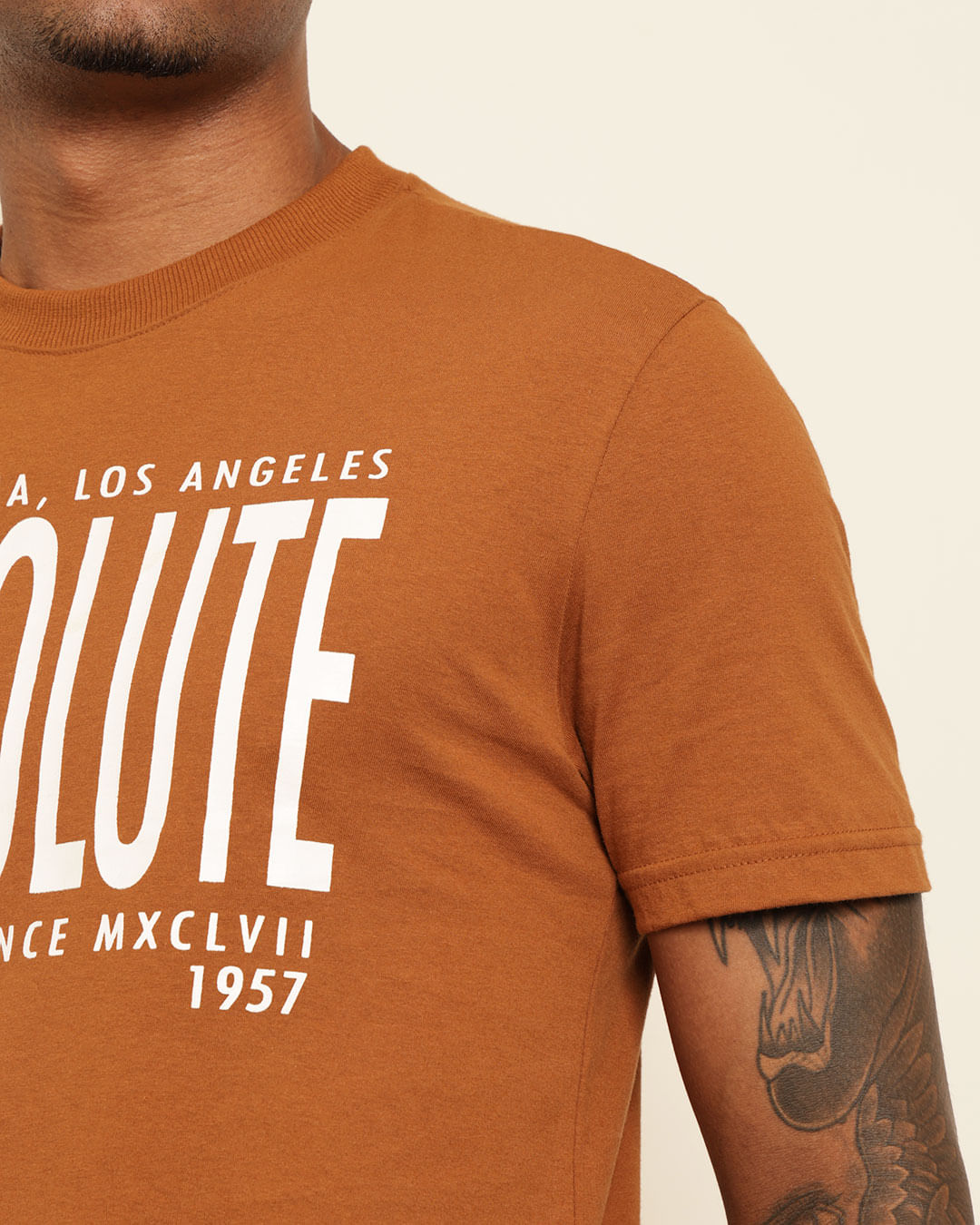 Camiseta-Mc-Absolute--15126242-Pgg---Marrom-Claro