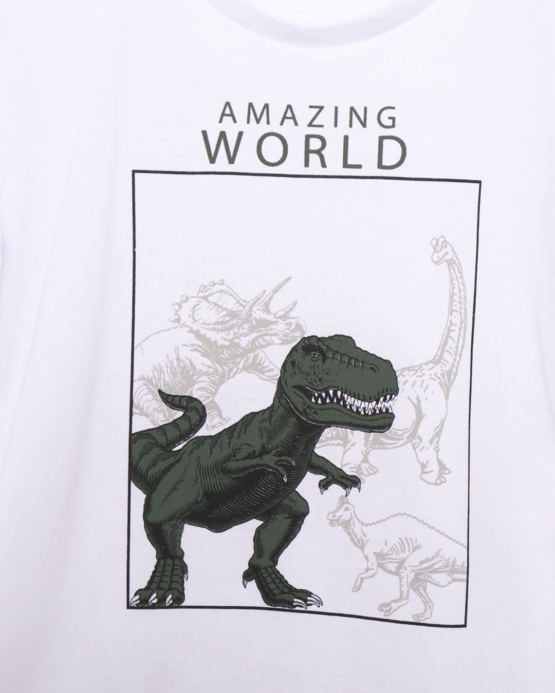 Camiseta-Mc--T38553-Dino-Masc-13---Branco