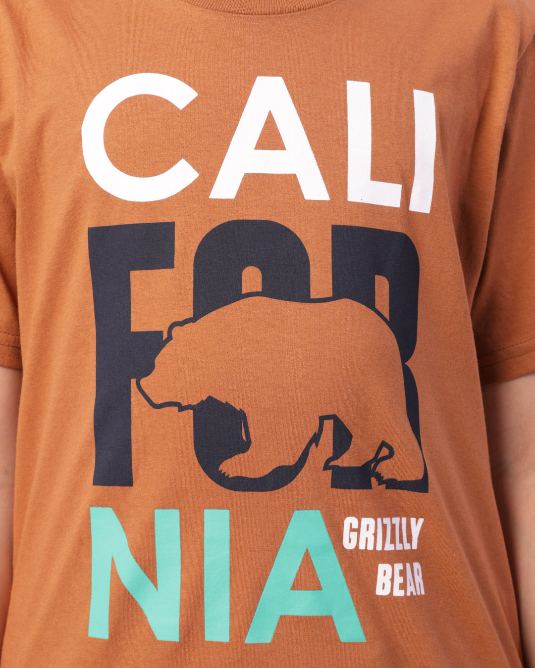 Camiseta--5523-Mc-M-1014-California---Marrom