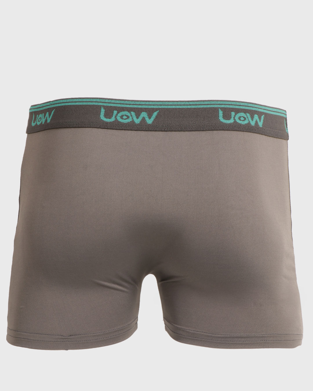Cueca-Microfibra-Lisa-Ref-381---Cinza-Medio