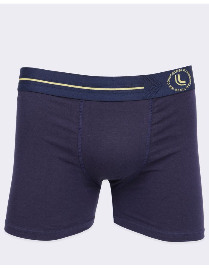 Cueca-Boxer-Alg-784-056---Marinho