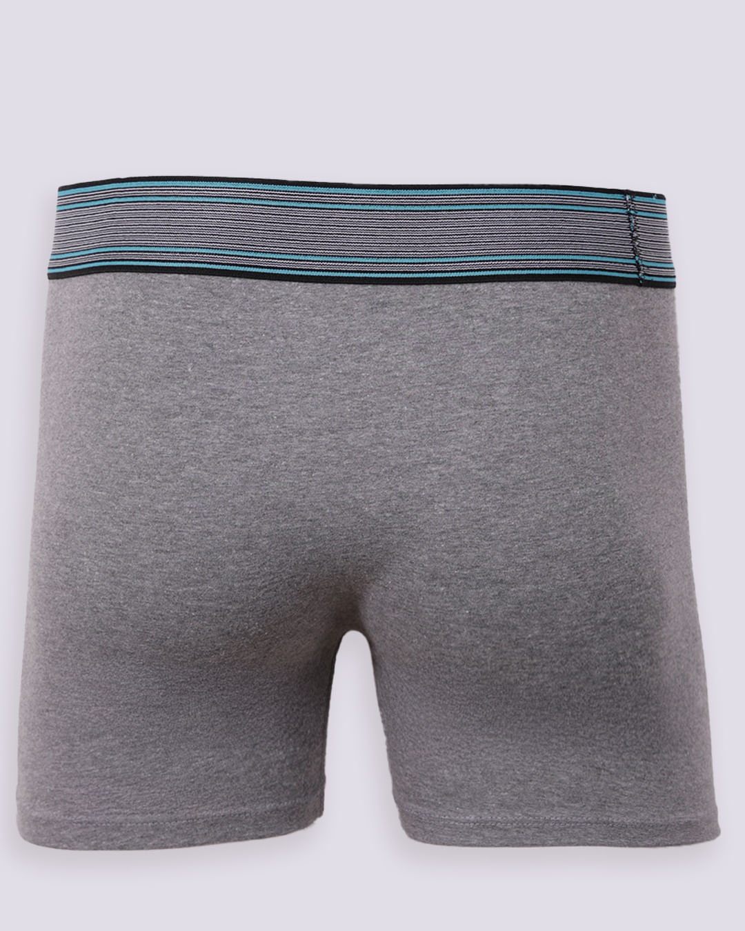 Cueca-Boxer-Alg-00784-063---Mescla