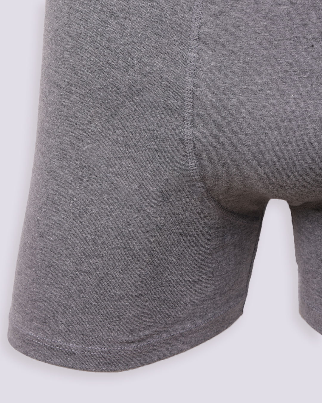 Cueca-Boxer-Alg-00784-063---Mescla