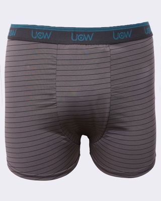 Cueca-Microfibra-Plus-Listra-Ref-3452---Mescla-Listrado