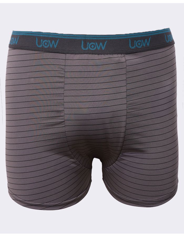 Cueca-Microfibra-Plus-Listra-Ref-3452---Mescla-Listrado