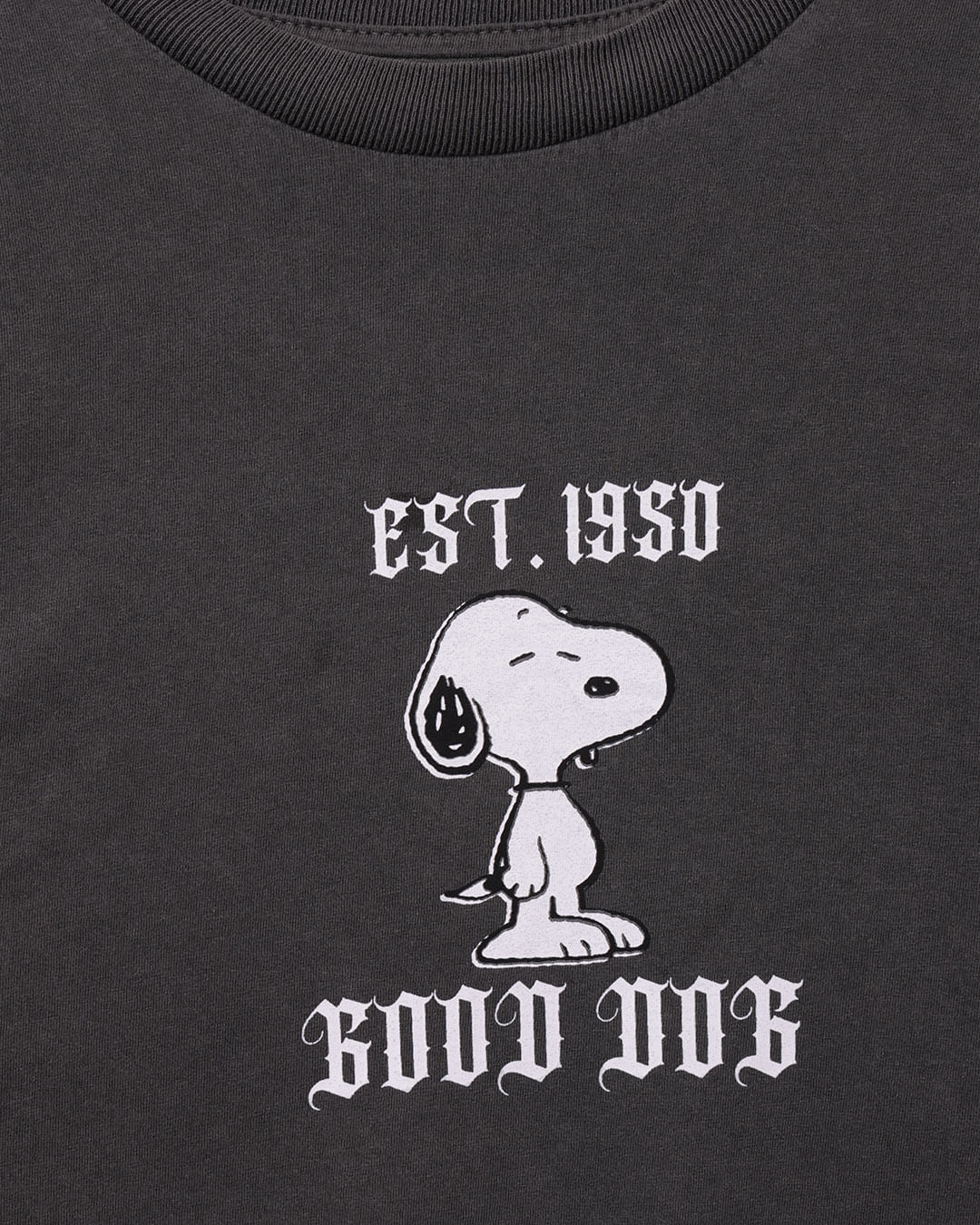 Camiseta-Snoopy-Trs110002-Pgg---Cinza