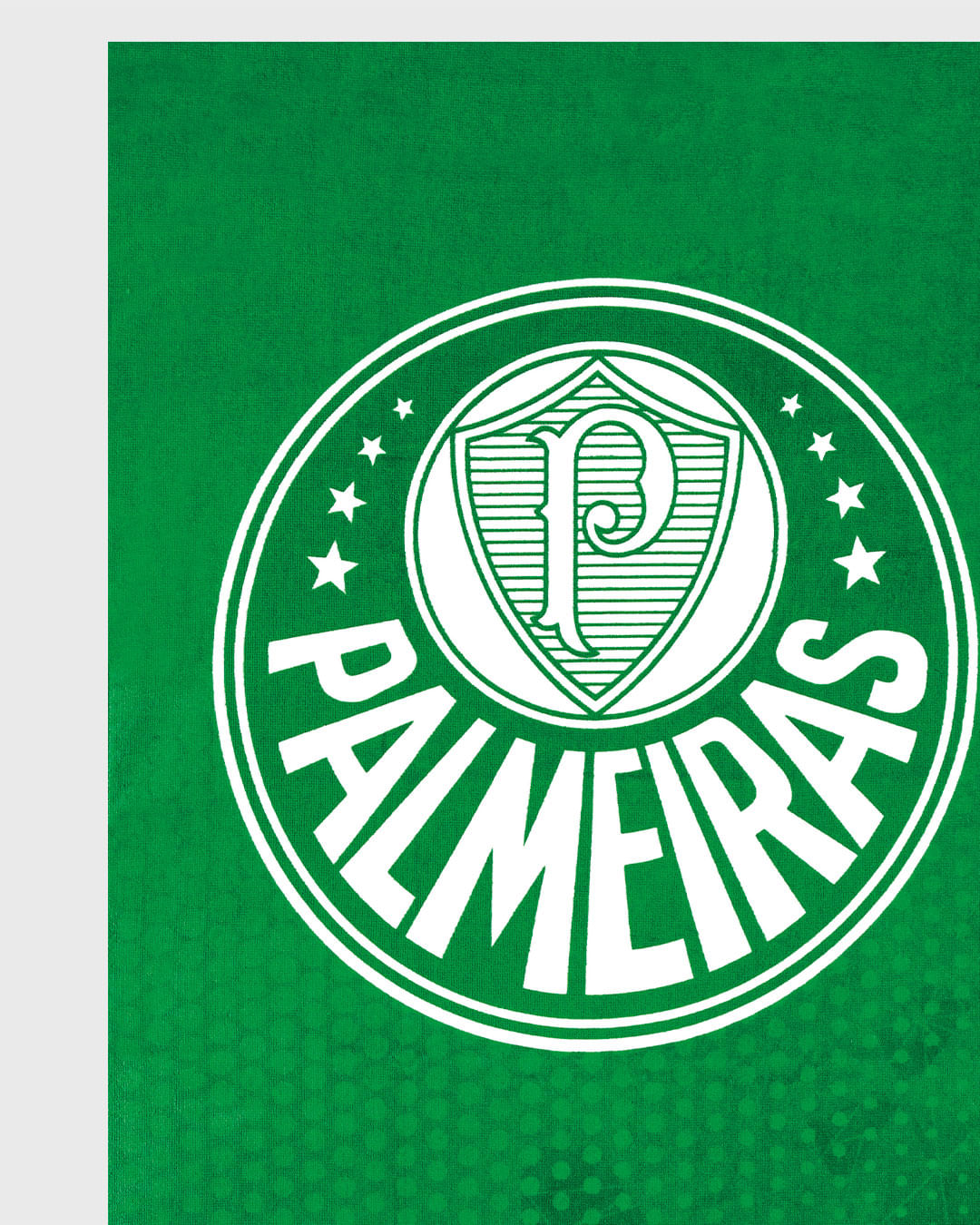 Toalha-Time-Palmeiras---Verde-Outros