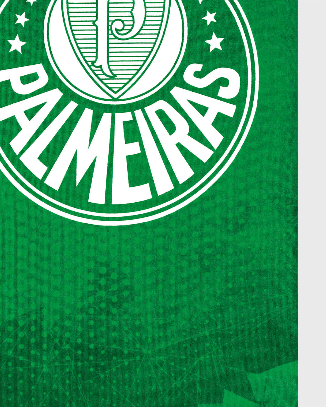 Toalha-Time-Palmeiras---Verde-Outros