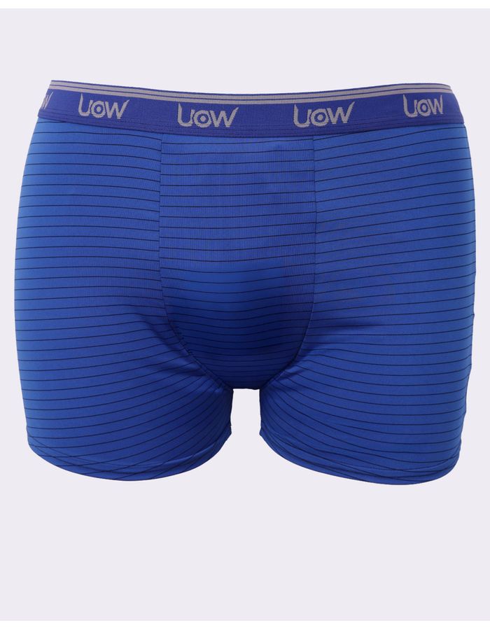 Cueca-Microfibra-Plus-Listra-Ref-3452---Azul-Listrado