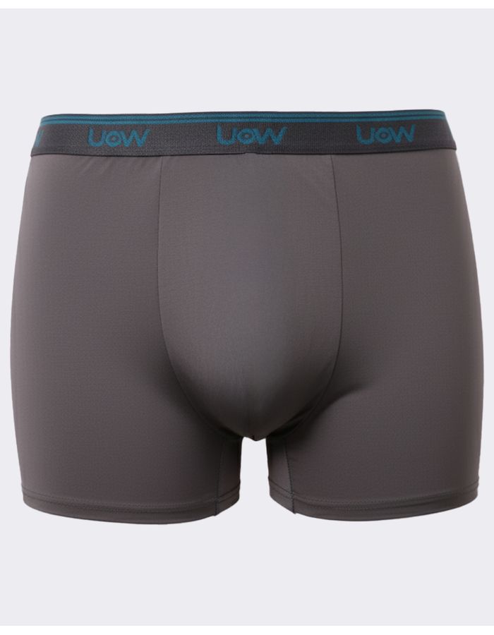 Cueca-Microfibra-Plus-Lisa-Ref-3922---Cinza