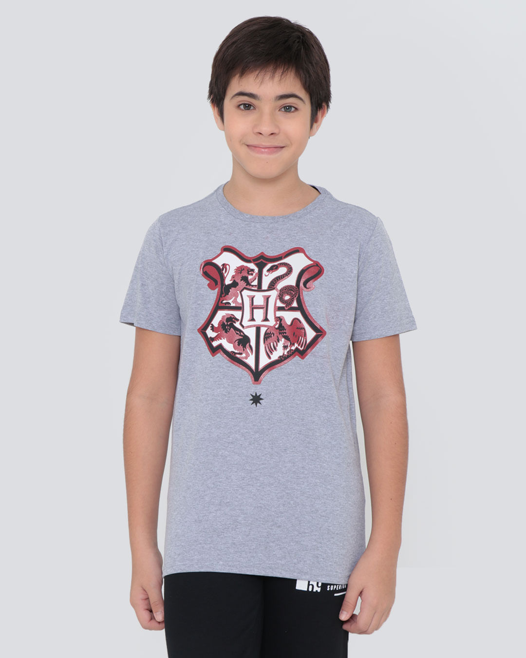Camiseta-Juvenil-Harry-Potter-Warner-Mescla-Cinza-Claro