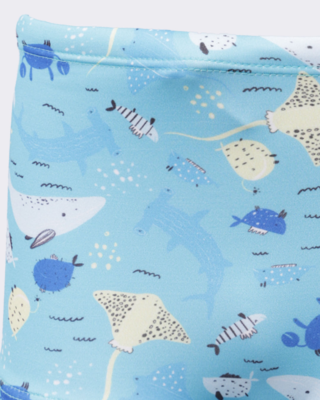 Sunga-Boxer-Peixes-Arraias-44530-Bbo-13---Azul-Outros