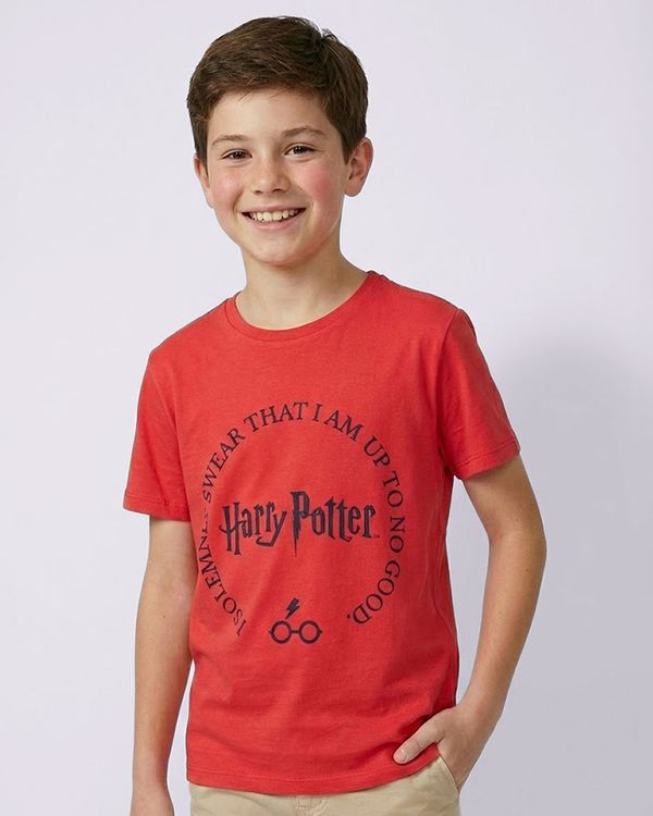 Camiseta Juvenil Algodão Harry Potter Vermelha 10