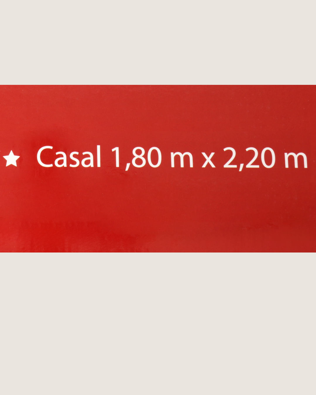 Cobertor-Raschel-Plus-Leao-Estampado---Estampado-Outros