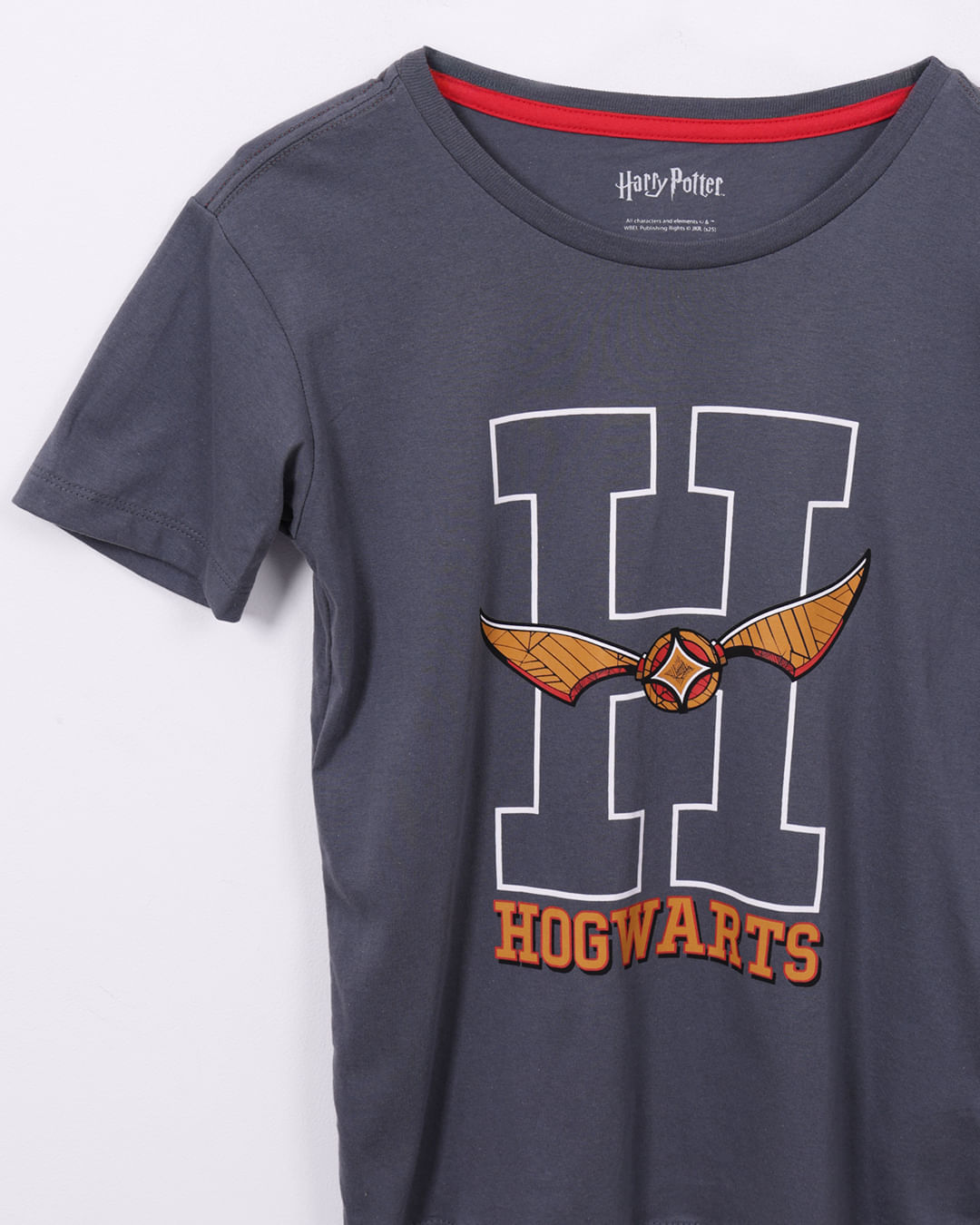 Camiseta-Torjuvo28-Mc-M-1016-Harry-Pot---Cinza