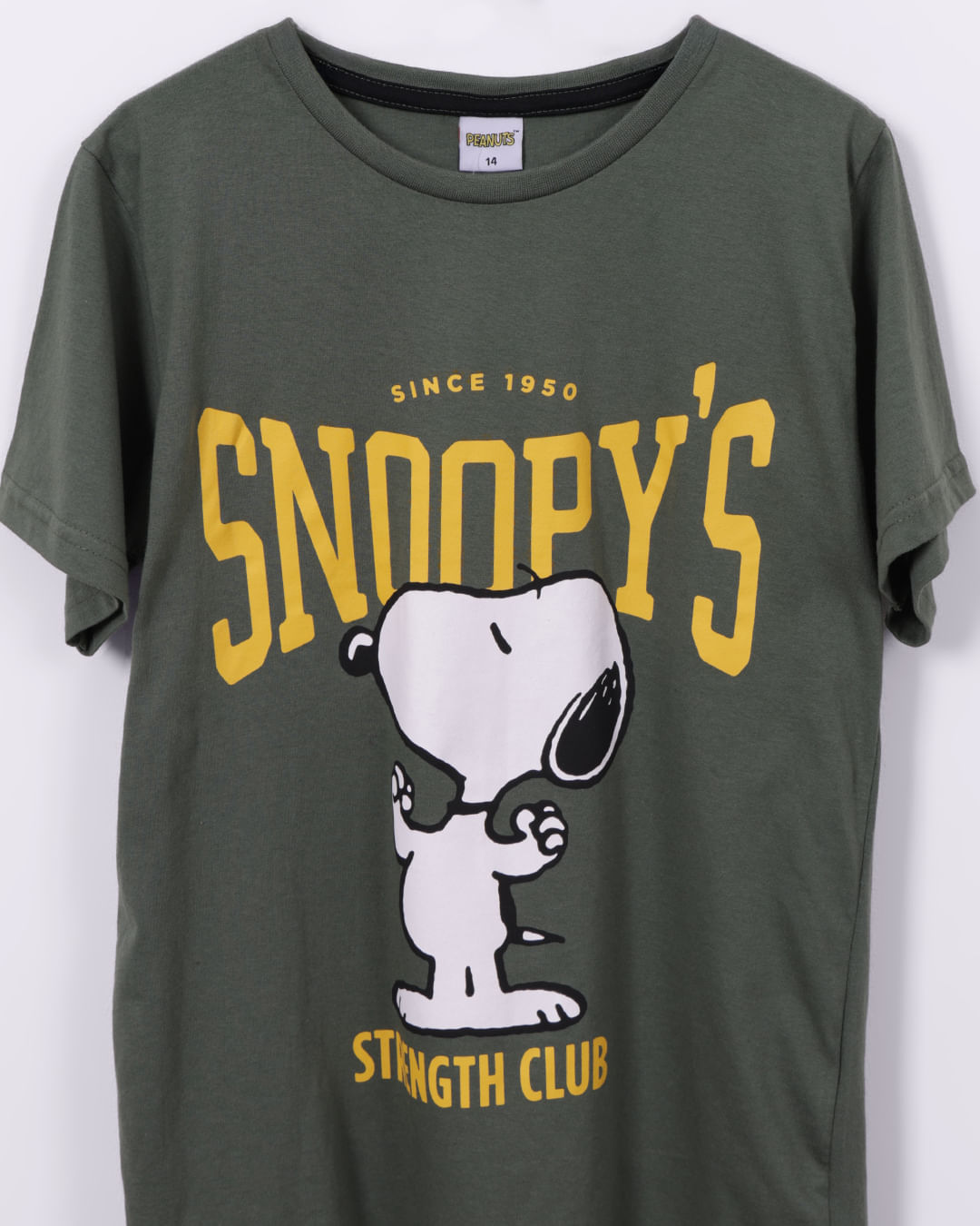 Camiseta-Ch45105-Mc-M-1016--Snoopy---Verde