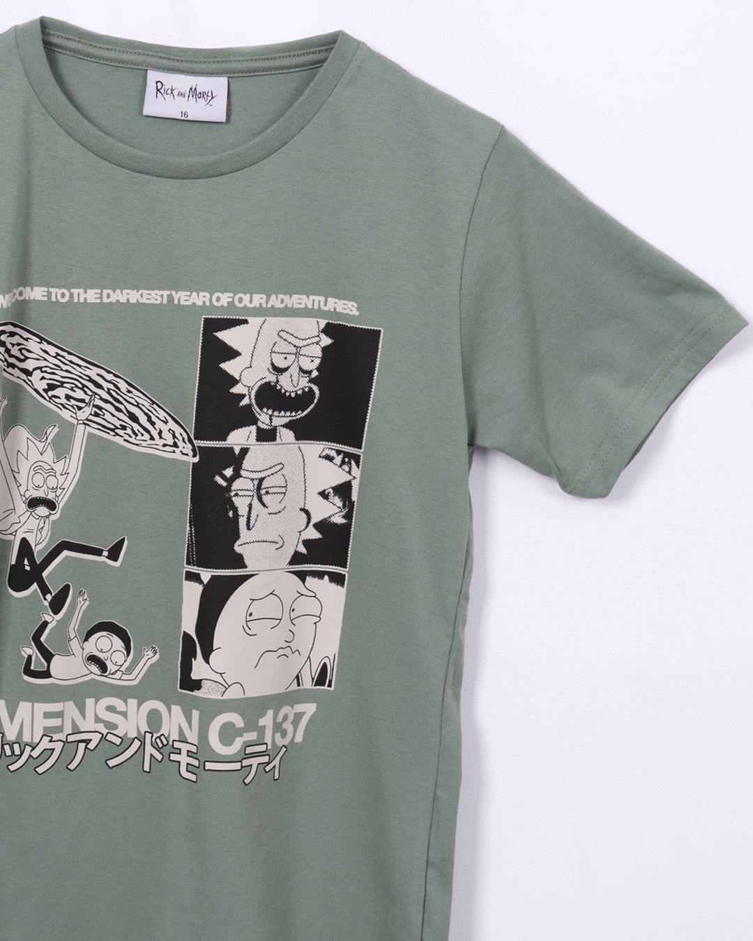 Camiseta-Ch41633-Mc-M-1016-Rick-E-Mort---Verde