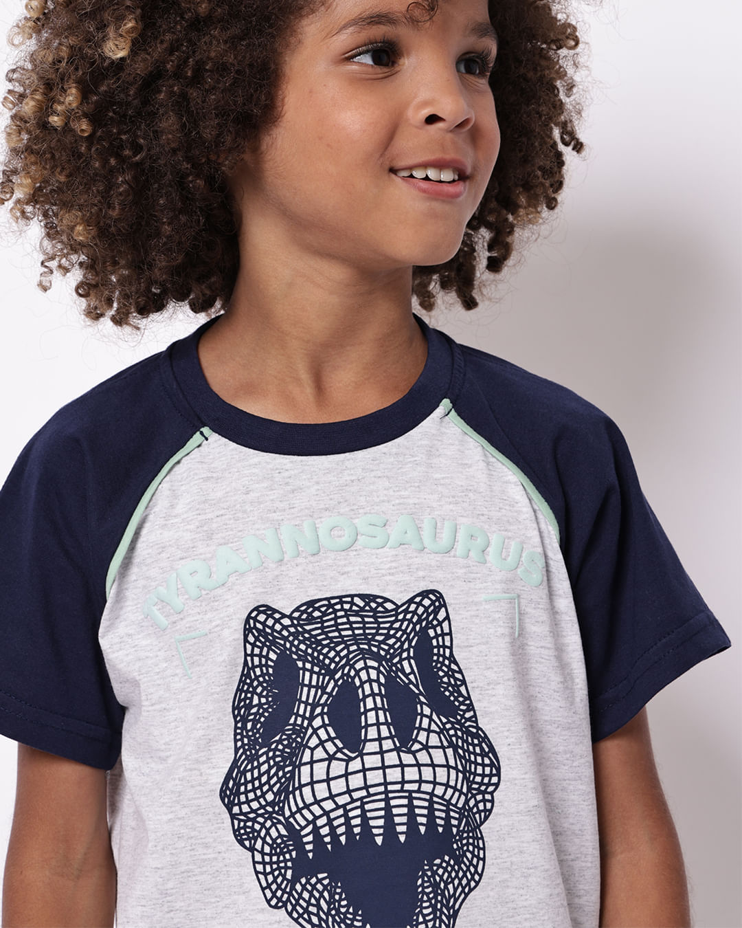 Camiseta-T44775-Mc-M-48-Tyrannosaurus---Mescla