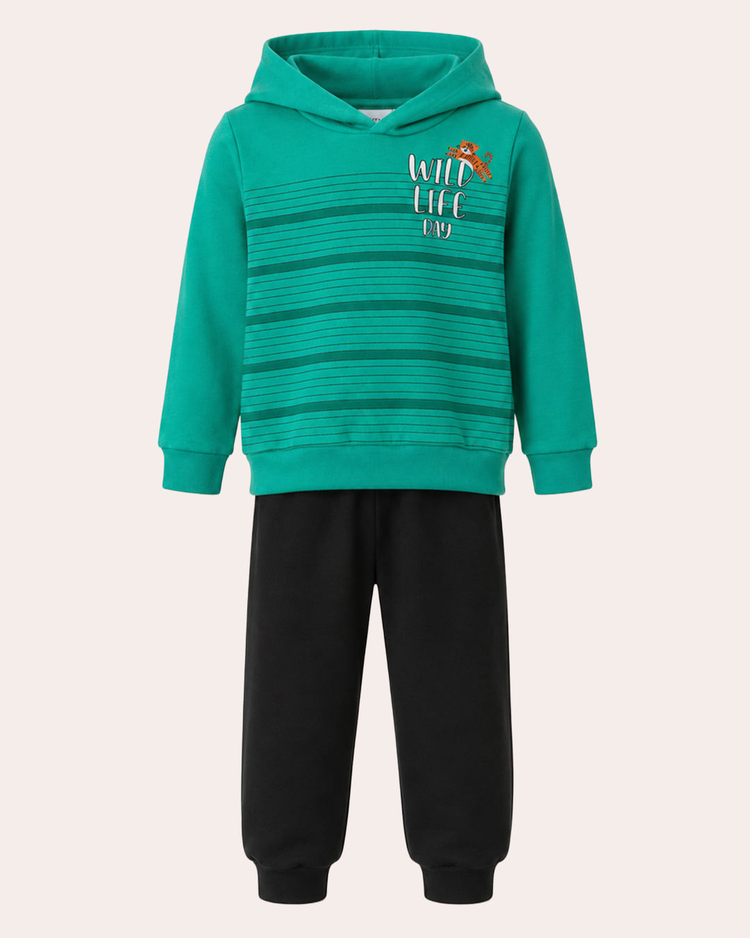 Conjunto-11063-Fc-Cp--Mol13---Verde