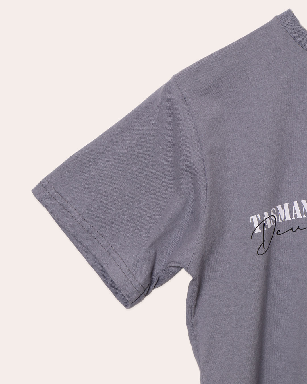 Camiseta-Ch44302-Mc-M-1016-Taz---Cinza