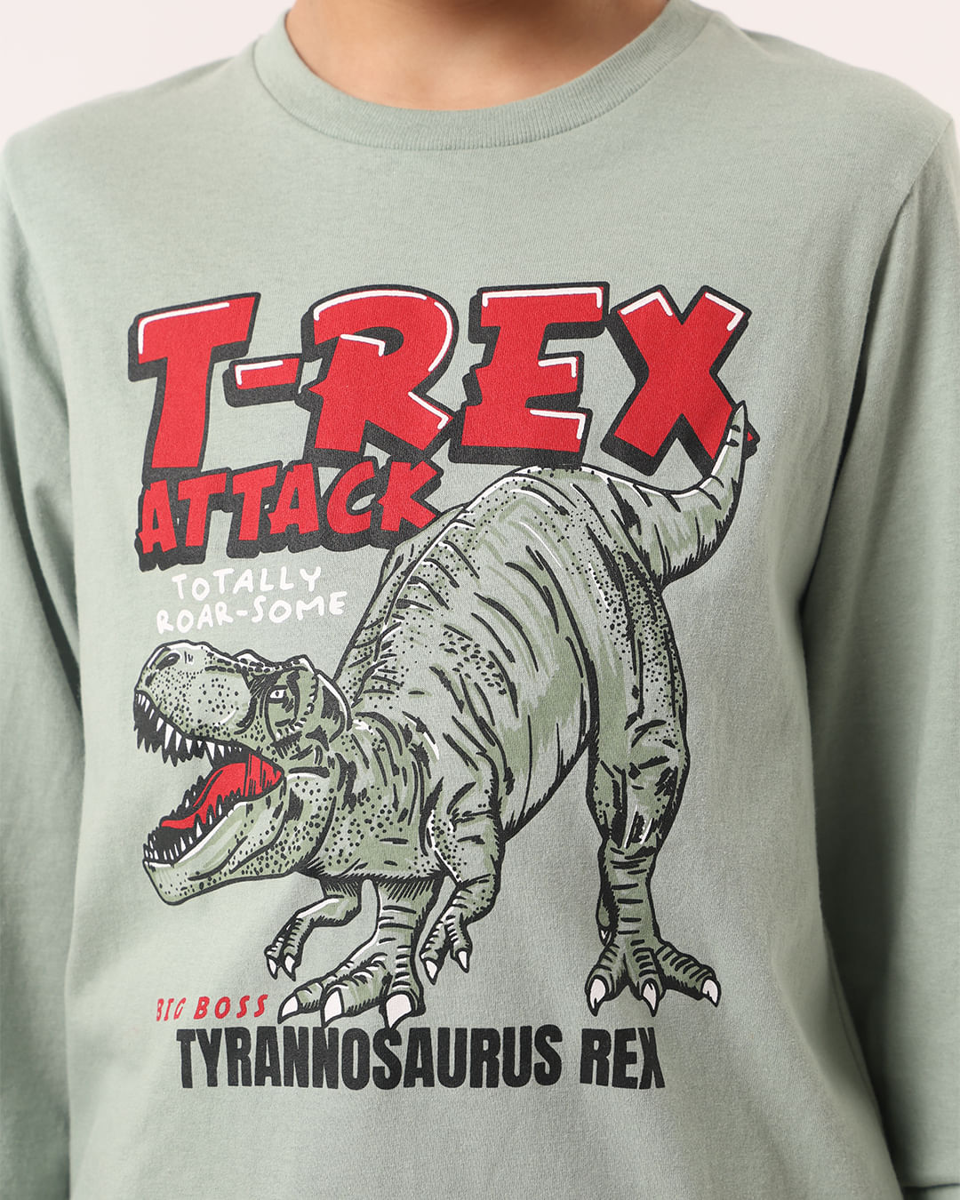 Camiseta-30105-M-L-M-48-Dino---Verde