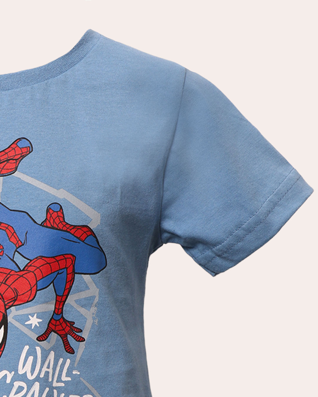 Camiseta-Ch47123-Estampa-Haranha--Mc-1---Azul