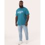 Calca-Jns-Plu-Slm-Azc-Mesa---C25---Jeans-Blue