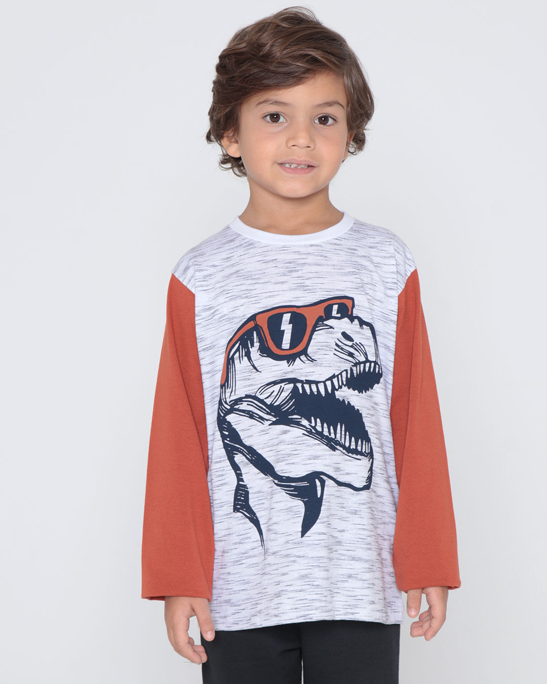 Camiseta-Infantil-Manga-Longa-Flame-Estampa-Dinossauro-Cinza